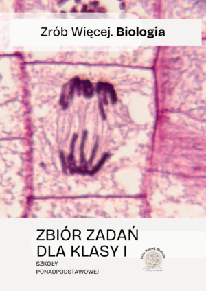 Zbiór zadań dla klasy pierwszej